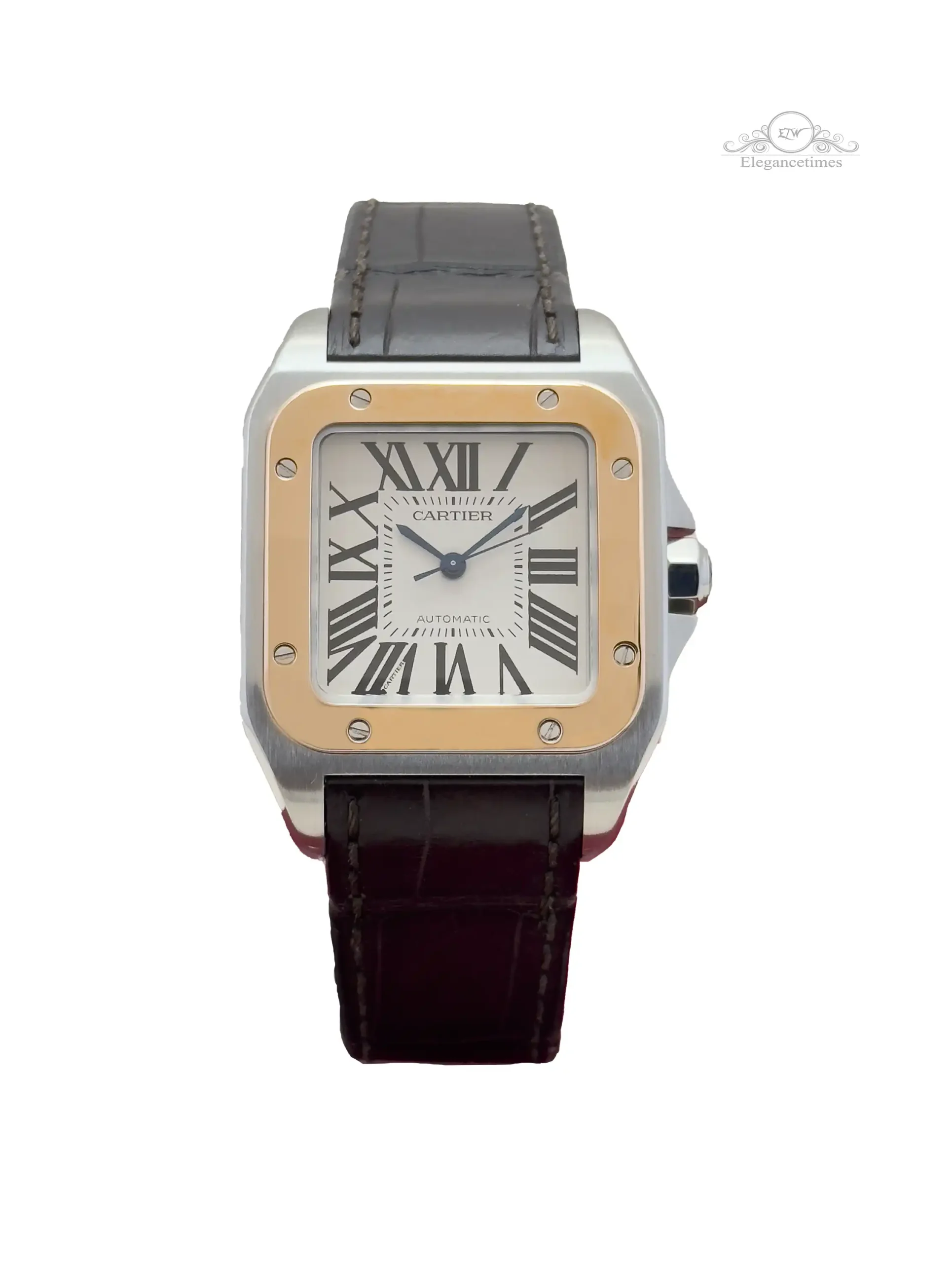 Cartier Santos 100