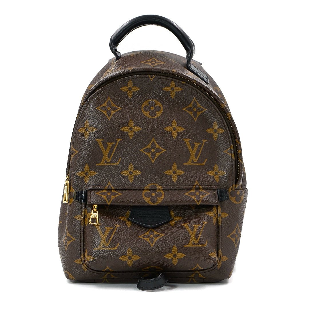 Louis Vuitton Palm springs Mini Back Pack