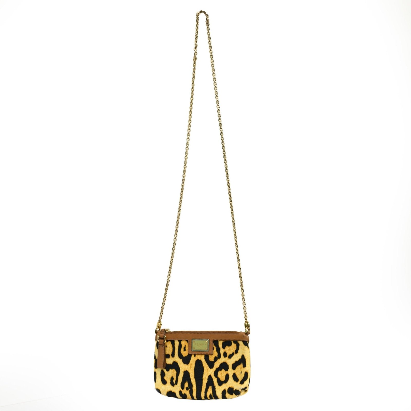 Dolce & Gabbana Leopard Bag